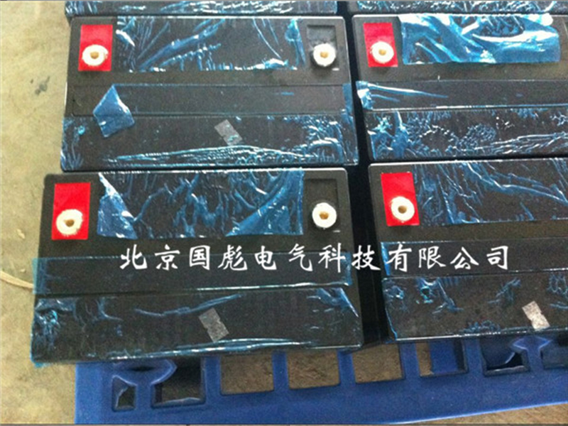 德国阳光蓄电池